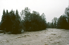 bistrica_mini