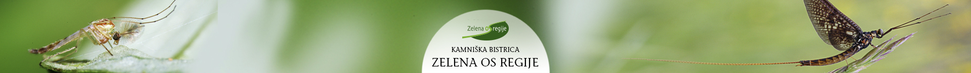 reka