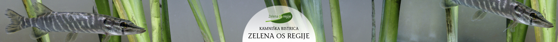 reka
