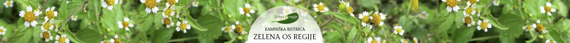 reka
