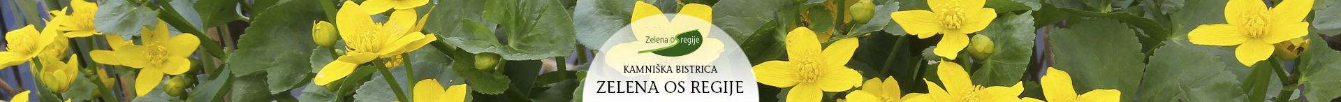 reka