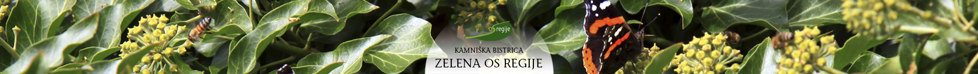 reka