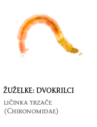 nevretenčarji