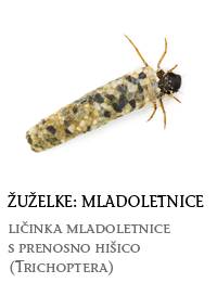 nevretenčarji