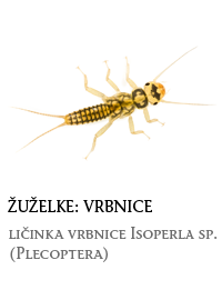 nevretenčarji