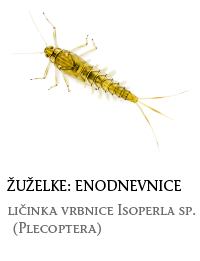 nevretenčarji