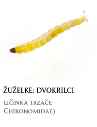 nevretenčarji