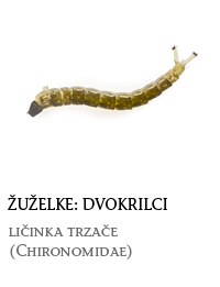 nevretenčarji