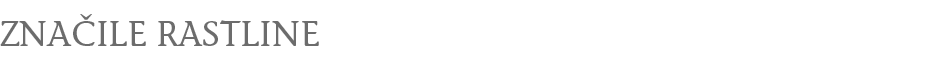 rastline